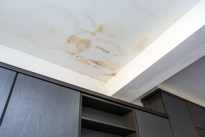 Water Damage Ceiling Repair Service