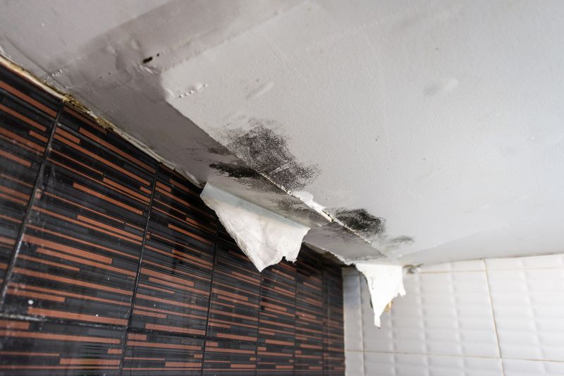 Water Damage Ceiling Repair