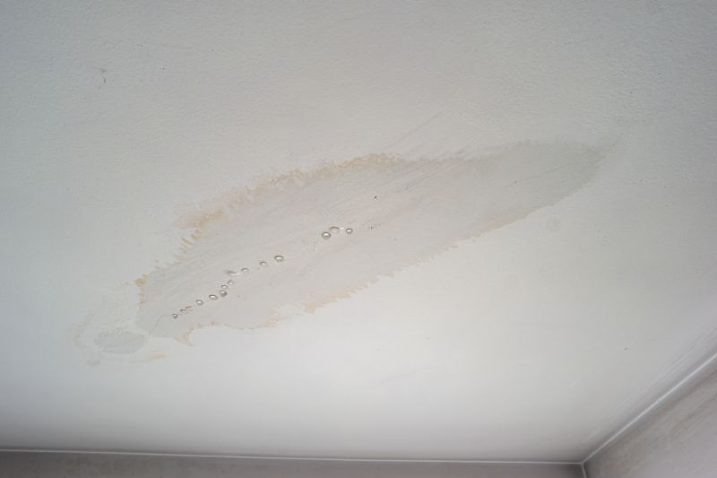 Water Damage Ceiling Repair