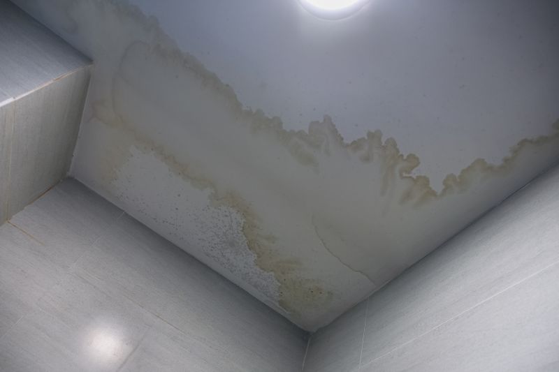 Damaged Ceiling from Water Leak