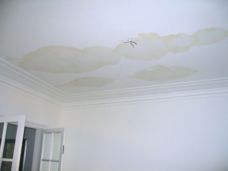 Water Damage Ceiling Damage